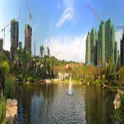 重慶市房地產(chǎn)開發(fā)項目詳情查看指南